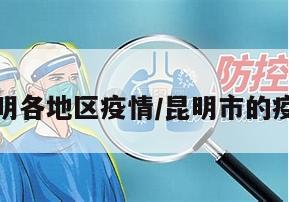 昆明各地区疫情/昆明市的疫情