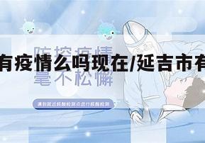 延吉地区有疫情么吗现在/延吉市有新增病例吗