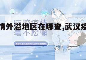 【武汉疫情外溢地区在哪查,武汉疫情地图怎么看】