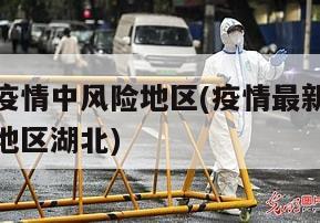 最新湖北疫情中风险地区(疫情最新数据消息中高风险地区湖北)