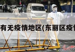 东丽区有无疫情地区(东丽区疫情防控)