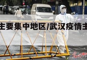 武汉疫情主要集中地区/武汉疫情主要发生在哪两个区
